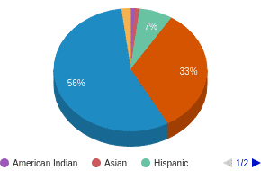 This chart display the percentage breakdown of public school students of all ethnic groups in AL. This chart display the percentage breakdown of public school students of all ethnic groups in AL.