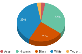 This chart display the percentage breakdown of public school students of all ethnic groups in FL. This chart display the percentage breakdown of public school students of all ethnic groups in FL.