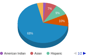 This chart display the percentage breakdown of public school students of all ethnic groups in MN. This chart display the percentage breakdown of public school students of all ethnic groups in MN.