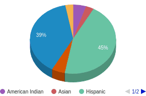 This chart display the percentage breakdown of public school students of all ethnic groups in AZ. This chart display the percentage breakdown of public school students of all ethnic groups in AZ.