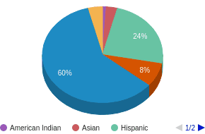 RI All Ethnic Groups Ethnicity Breakdown RI All Ethnic Groups Ethnicity Breakdown
