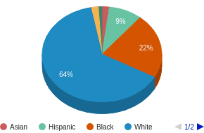 This chart display the percentage breakdown of public school students of all ethnic groups in TN. This chart display the percentage breakdown of public school students of all ethnic groups in TN.