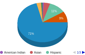 This chart display the percentage breakdown of public school students of all ethnic groups in WI. This chart display the percentage breakdown of public school students of all ethnic groups in WI.