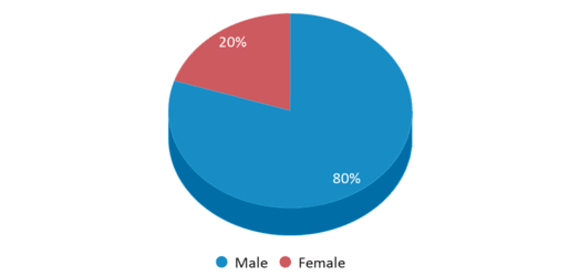 This chart displays gender of Mountain High School This chart displays gender of Mountain High School
