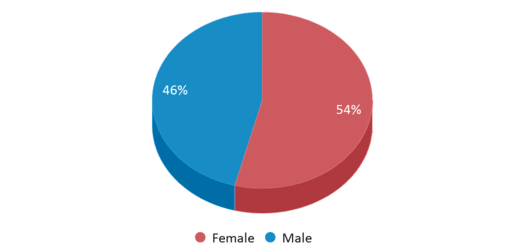 This chart displays gender of P.S. 208 Alain L Locke This chart displays gender of P.S. 208 Alain L Locke
