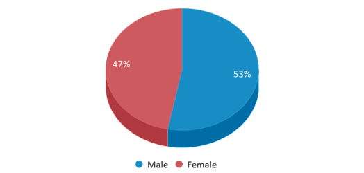 This pie chart depicts the gender distribution at Guadalupe Center.