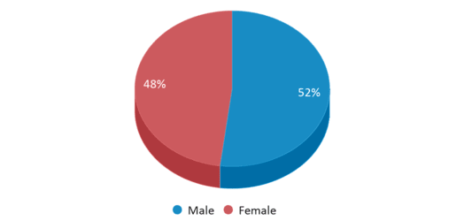 This chart displays gender of Edwin Loe Elementary School This chart displays gender of Edwin Loe Elementary School