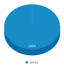 This chart displays the percentage breakdown of students of all ethnic groups in Transitional Living Units School. This chart displays the percentage breakdown of students of all ethnic groups in Transitional Living Units School.