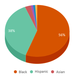 This chart displays the percentage breakdown of students of all ethnic groups in P.S. 208 Alain L Locke. This chart displays the percentage breakdown of students of all ethnic groups in P.S. 208 Alain L Locke.