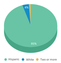This chart displays the percentage breakdown of students of all ethnic groups in Mountain Vista. This chart displays the percentage breakdown of students of all ethnic groups in Mountain Vista.