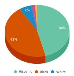 This chart displays the percentage breakdown of students of all ethnic groups in Harlem Hebrew Language Academy Charter School. This chart displays the percentage breakdown of students of all ethnic groups in Harlem Hebrew Language Academy Charter School.
