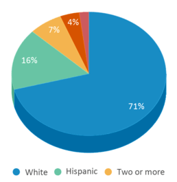 This chart displays the percentage breakdown of students of all ethnic groups in Trail Ridge Middle School. This chart displays the percentage breakdown of students of all ethnic groups in Trail Ridge Middle School.