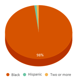 This chart displays the percentage breakdown of students of all ethnic groups in Robeson High School. This chart displays the percentage breakdown of students of all ethnic groups in Robeson High School.