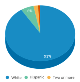This chart displays the percentage breakdown of students of all ethnic groups in Van Allen Elementary School. This chart displays the percentage breakdown of students of all ethnic groups in Van Allen Elementary School.