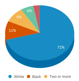 This chart displays the percentage breakdown of students of all ethnic groups in Northern High School. This chart displays the percentage breakdown of students of all ethnic groups in Northern High School.