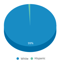 This chart displays the percentage breakdown of students of all ethnic groups in Millersburg Elementary School. This chart displays the percentage breakdown of students of all ethnic groups in Millersburg Elementary School.