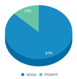This chart displays the percentage breakdown of students of all ethnic groups in Hill Public School. This chart displays the percentage breakdown of students of all ethnic groups in Hill Public School.