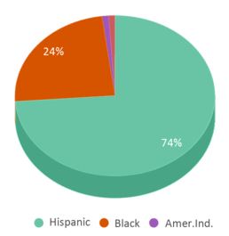 This chart displays the percentage breakdown of students of all ethnic groups in Norman Thomas High School. This chart displays the percentage breakdown of students of all ethnic groups in Norman Thomas High School.