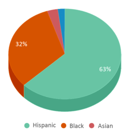 This chart displays the percentage breakdown of students of all ethnic groups in Washington Irving High School. This chart displays the percentage breakdown of students of all ethnic groups in Washington Irving High School.