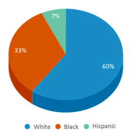 This chart displays the percentage breakdown of students of all ethnic groups in Carver Center. This chart displays the percentage breakdown of students of all ethnic groups in Carver Center.