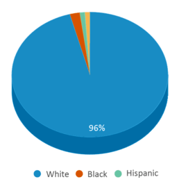 This chart displays the percentage breakdown of students of all ethnic groups in Troy Area Middle School. This chart displays the percentage breakdown of students of all ethnic groups in Troy Area Middle School.