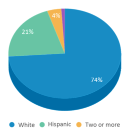 This chart displays the percentage breakdown of students of all ethnic groups in Rio Vista Elementary School. This chart displays the percentage breakdown of students of all ethnic groups in Rio Vista Elementary School.