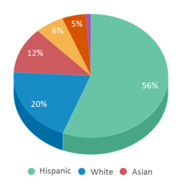 This chart displays the percentage breakdown of public school students of all ethnic groups in California.