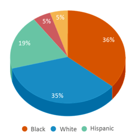 This chart displays the percentage breakdown of public school students of all ethnic groups in Georgia. This chart displays the percentage breakdown of public school students of all ethnic groups in Georgia.