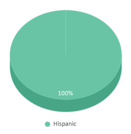 This chart displays the percentage breakdown of public school students of all ethnic groups in Puerto Rico. This chart displays the percentage breakdown of public school students of all ethnic groups in Puerto Rico.