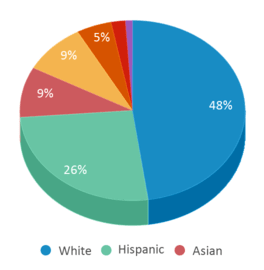 This chart displays the percentage breakdown of public school students of all ethnic groups in Washington. This chart displays the percentage breakdown of public school students of all ethnic groups in Washington.