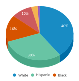 This chart displays the percentage breakdown of public school students of all ethnic groups in New York.