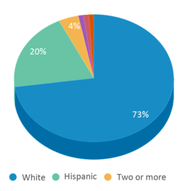 This chart displays the percentage breakdown of public school students of all ethnic groups in Idaho. This chart displays the percentage breakdown of public school students of all ethnic groups in Idaho.