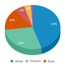 This chart displays the percentage breakdown of public school students of all ethnic groups in Illinois. This chart displays the percentage breakdown of public school students of all ethnic groups in Illinois.