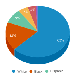 This chart displays the percentage breakdown of public school students of all ethnic groups in Michigan. This chart displays the percentage breakdown of public school students of all ethnic groups in Michigan.