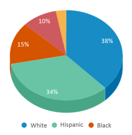 This chart displays the percentage breakdown of public school students of all ethnic groups in New Jersey. This chart displays the percentage breakdown of public school students of all ethnic groups in New Jersey.