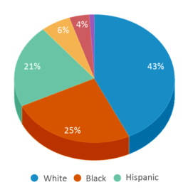 This chart displays the percentage breakdown of public school students of all ethnic groups in North Carolina. This chart displays the percentage breakdown of public school students of all ethnic groups in North Carolina.