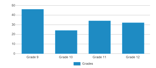 This chart displays the students of Robeson High School by grade. This chart displays the students of Robeson High School by grade.