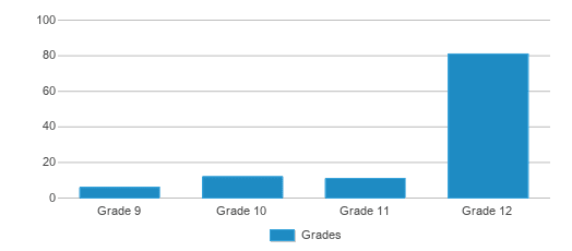 This chart displays the students of Washington Irving High School by grade. This chart displays the students of Washington Irving High School by grade.