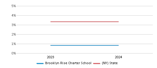 This chart presents a comparison of the percentage of students who identify as two or more races at Brooklyn Rise Charter School, versus the percentage of public school students who identify as two or more races in the Brooklyn RISE Charter School District and in New York, utilizing data collected over several years with the most recent figures pertaining to the 2023-24 school year.