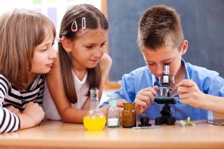 Do Public Schools Need to Teach More Math and Science? Do Public Schools Need to Teach More Math and Science?