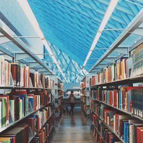 How Students Use School Libraries Beyond Studying