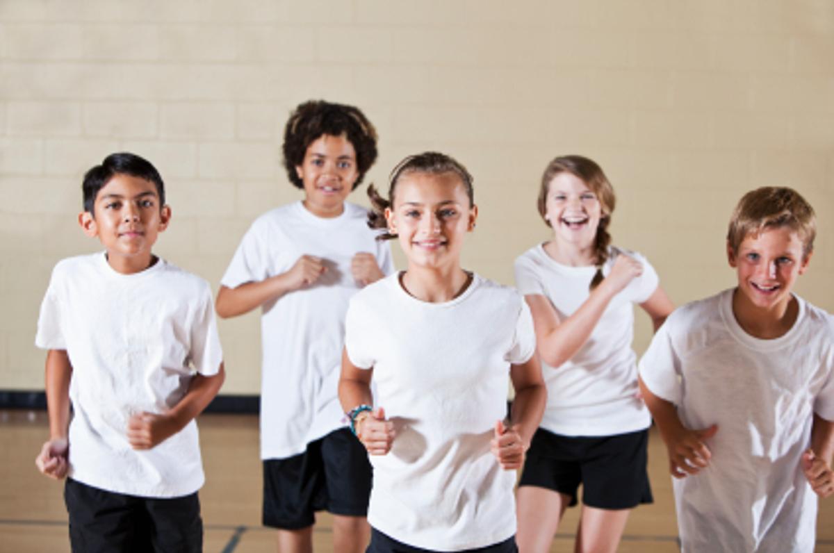 Does Gym Help Students Perform Better in All Their Classes? - The