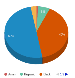 Clemson Ethnic Diversity Pie Chart