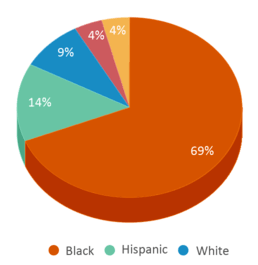 This chart displays the percentage breakdown of students of all ethnic groups in Mallard Creek High School.