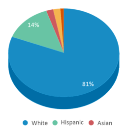 This chart displays the percentage breakdown of students of all ethnic groups in Cactus Shadows High School.