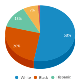 This chart displays the percentage breakdown of students of all ethnic groups in Villa Rica High School.