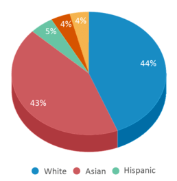 This chart displays the percentage breakdown of students of all ethnic groups in Troy High School.