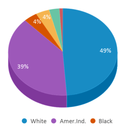 This chart displays the percentage breakdown of students of all ethnic groups in Checotah High School.