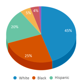 This chart displays the percentage breakdown of public school students of all ethnic groups in North Carolina.