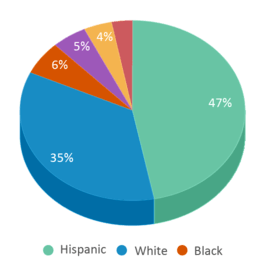 This chart displays the percentage breakdown of public school students of all ethnic groups in Arizona.